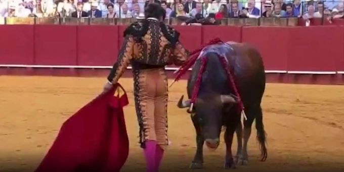 Der Matador am Real Maestranza Festival in Sevilla (Süd-Spanien) wischt dem blutenden Stier eine Träne ab – und tötet ihn kurz darauf. Stierkampf Matador Stier Spanien