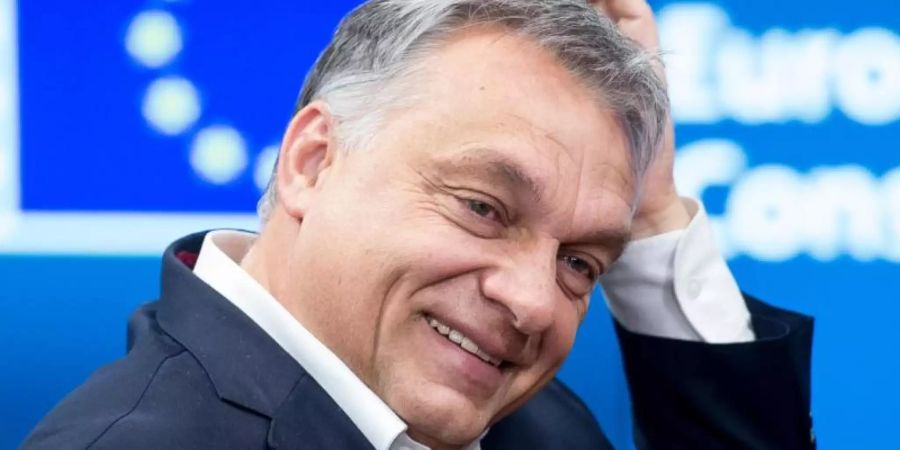 Viktor Orban während eines EU-Gipfels in Brüssel Ende 2017. Foto: Wiktor Dabkowski/ZUMA Wire