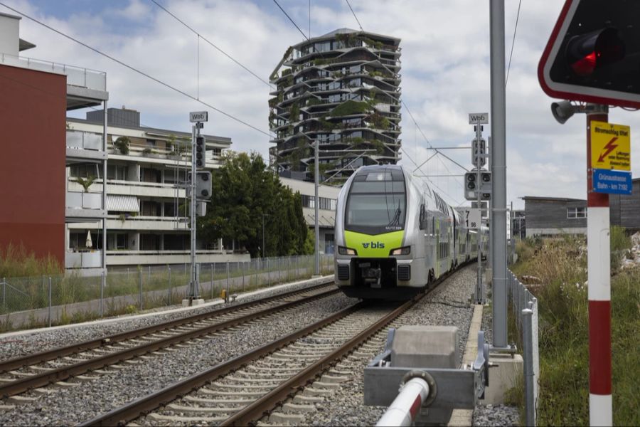 Auf dem Streckennetz der BLS kommt es immer mal wieder zu Kollisionen mit Tieren. (Symbolbild)