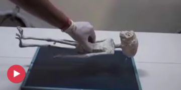 sdasdas