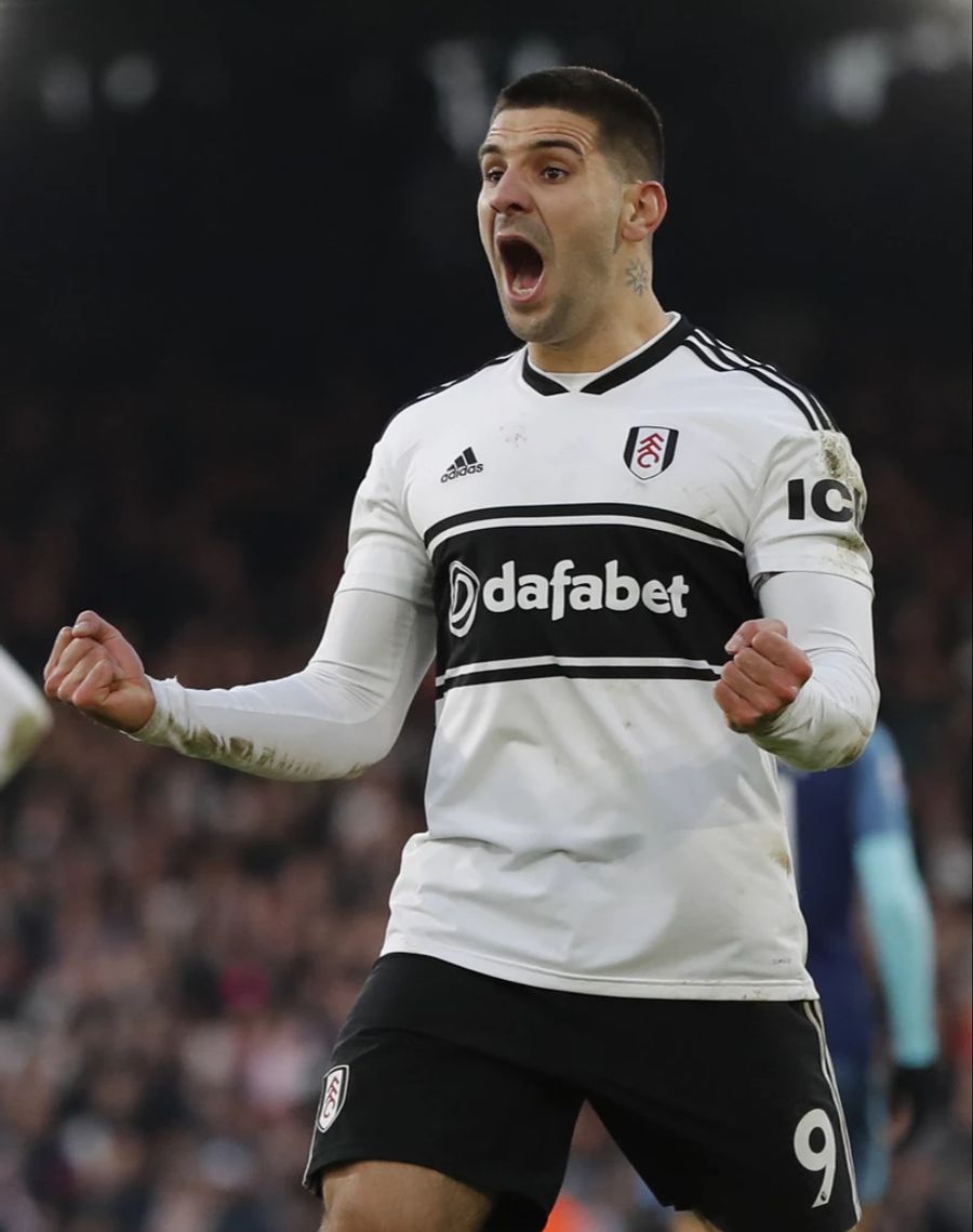 Aleksandar Mitrovic Premier League.