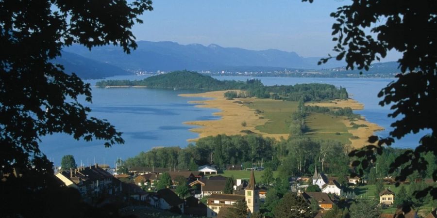 Mehr Hecken und Tümpel: Fünf Organisationen machen Vorschläge für die Zukunft der Drei-Seen-Landschaft. (Archivbild)