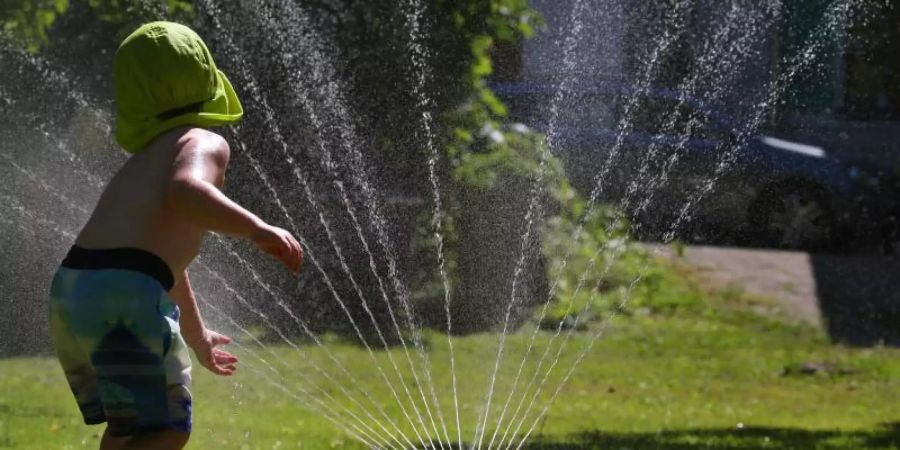 Rasensprenger verbrauchten bis zu 800 Liter Wasser in der Stunde. Das ist rund siebenmal soviel wie jeder Bundesbürger pro Tag für sich selbst entnimmt. Foto: Karl-Josef Hildenbrand