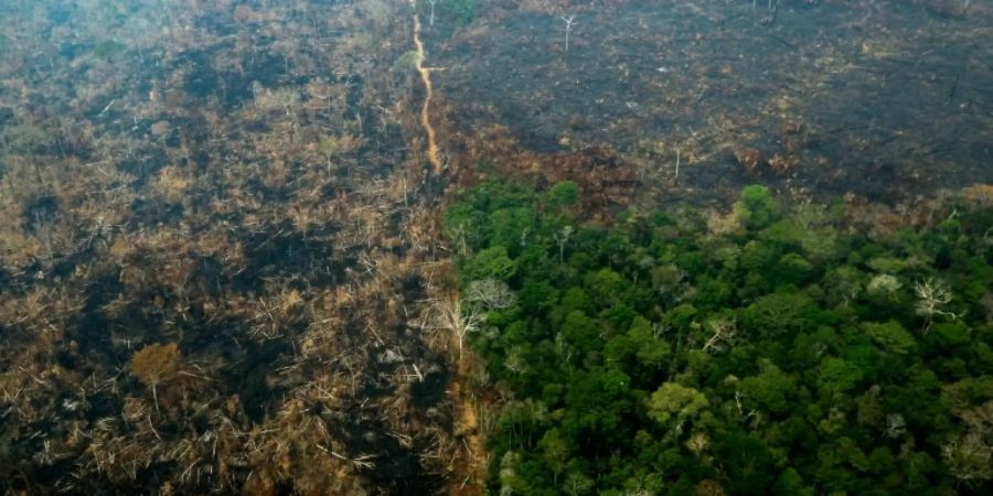 Luftaufnahme von verbrannter Fläche im Amazonas-Gebiet