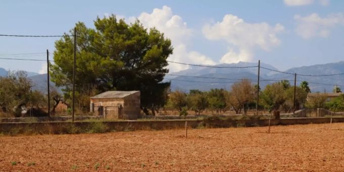 Madrid - Deutsche Familie stirbt bei Hubschrauber-Unglück über Mallorca