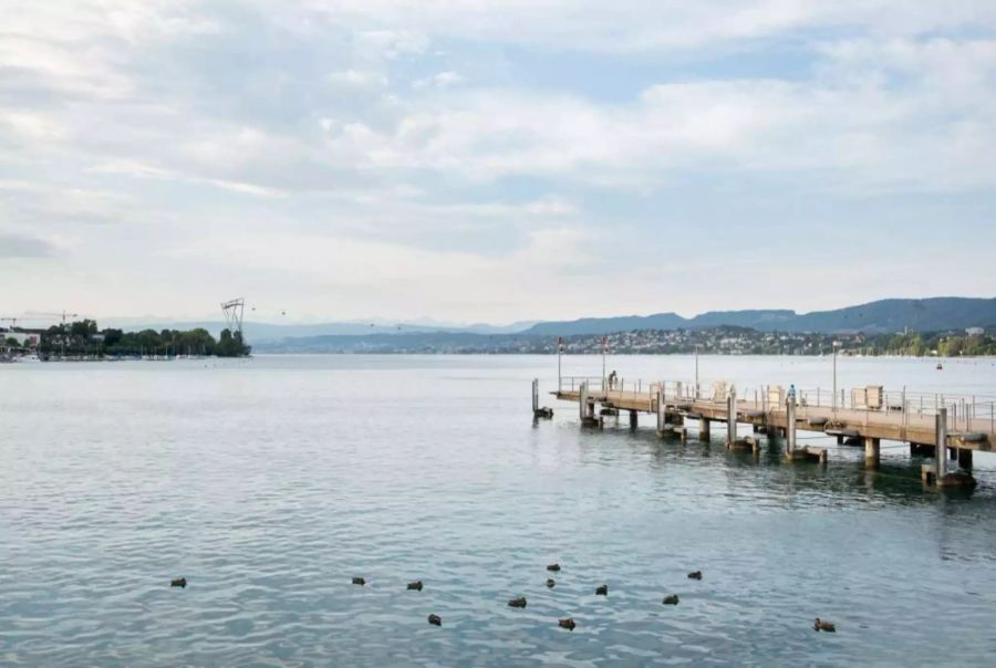 Sicht vom Bürkliplatz auf die ZüriBahn über den Zürichsee.