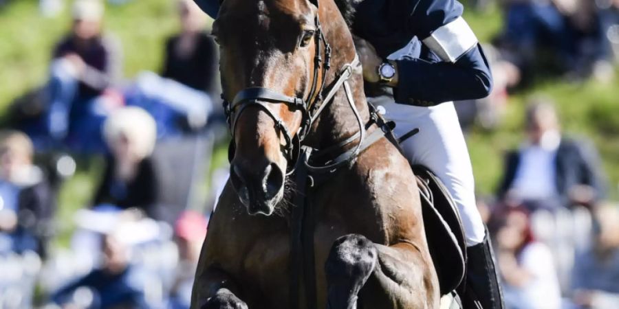 Steve Guerdat und Venard unterwegs zum Grand-Prix-Sieg in St. Gallen.