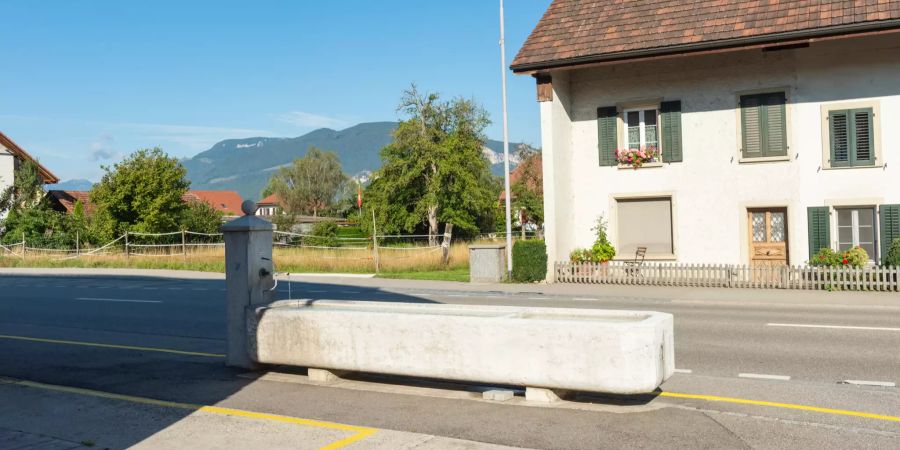 Brunnen vor Bauernhaus a der Oensingerstrasse in Kestenholz. Im Hintergrund die Jurakette (Oensingen/Klus).