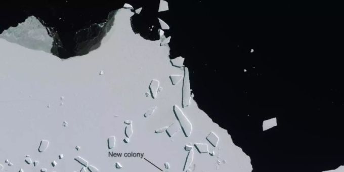Als kleiner, grauer Schleier ist eine neu entdeckte Kolonie von Kaiserpinguinen auf einem Satellitenbild zu erkennen. Foto: Copernicus Sentinel-2/ESA/dpa Als kleiner, grauer Schleier ist eine neu entdeckte Kolonie von Kaiserpinguinen auf einem Satellitenbild zu erkennen. Foto: Copernicus Sentinel-2/ESA/dpa