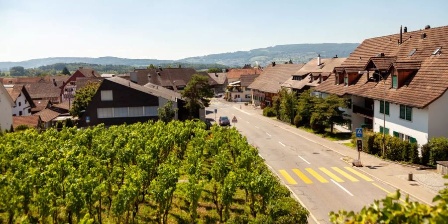 Die Aussicht über die Gemeinde Weiningen.