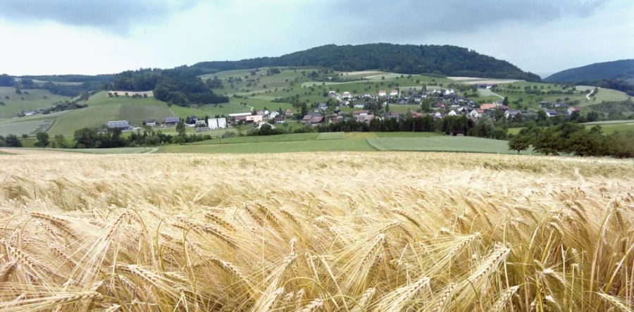 Mettauertal Aargau Spenden Maschine