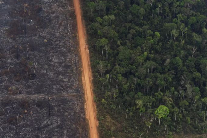 Corona verdanken wir eine Verlagerung des Earth Overshoot Day um drei Wochen. Die Tendenz bleibt aber gleich. regenwald waldbrand abholzung
