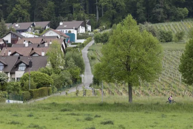 geroldswil