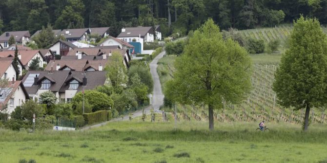 geroldswil
