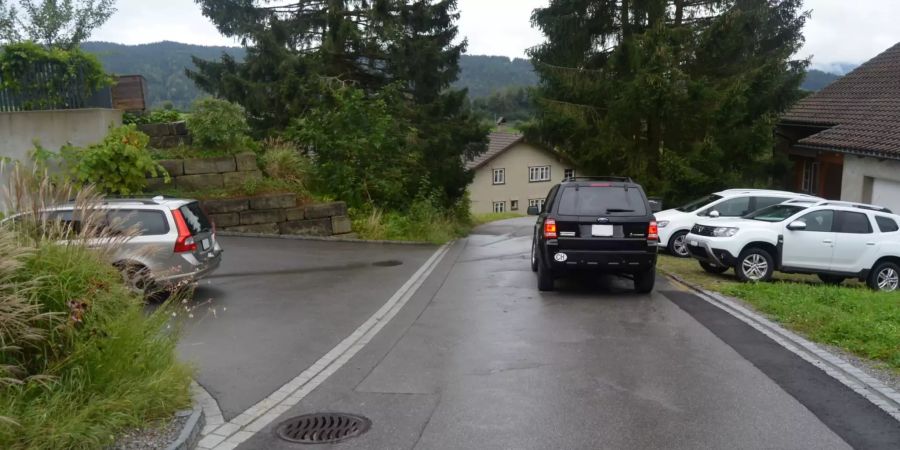 Kollision beim Rückwärtsausparkieren