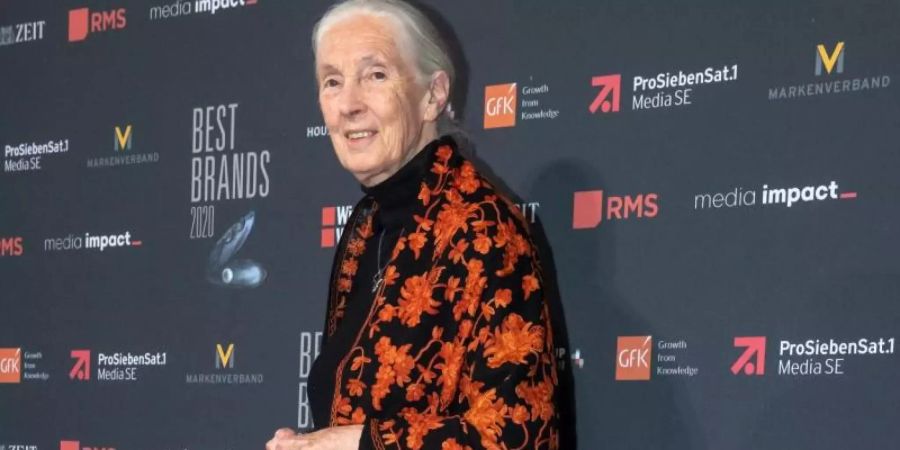 «Ist es nicht bizarr, dass die klügsten Wesen die Entscheidung treffen, ihr einziges Zuhause zu zerstören?», sagt Jane Goodall. Foto: Peter Kneffel/dpa