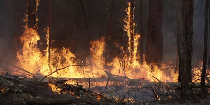 Der Klimawandel soll schuld am Ausmass der Brände sein. (Archivbild) australien feuer