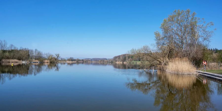 Der Moossee in Moosseedorf. Hier wurden im Sediment verschiedene Pflanzenschutzmittel nachgewiesen.