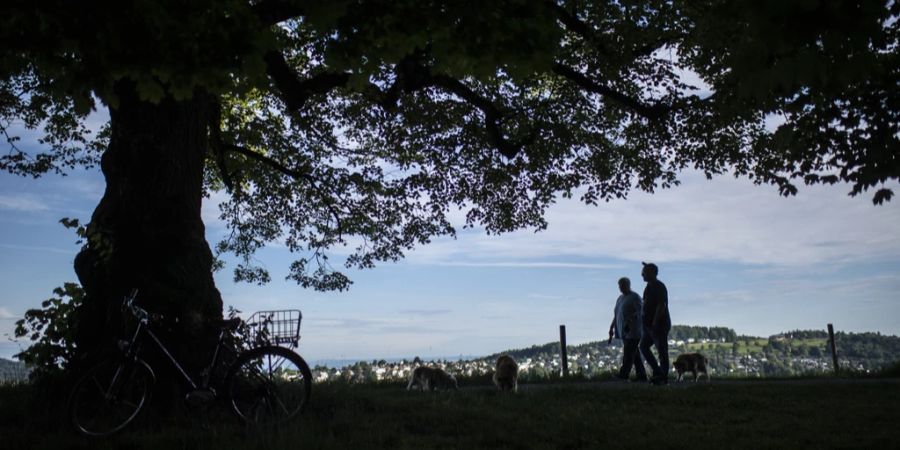 St. Gallen Hitzeaktionsplan