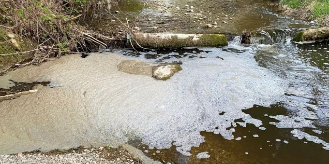 Gewässerverschmutzung durch Gülle führt zu Fischsterben.