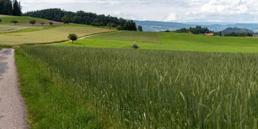 Dürrenäsch