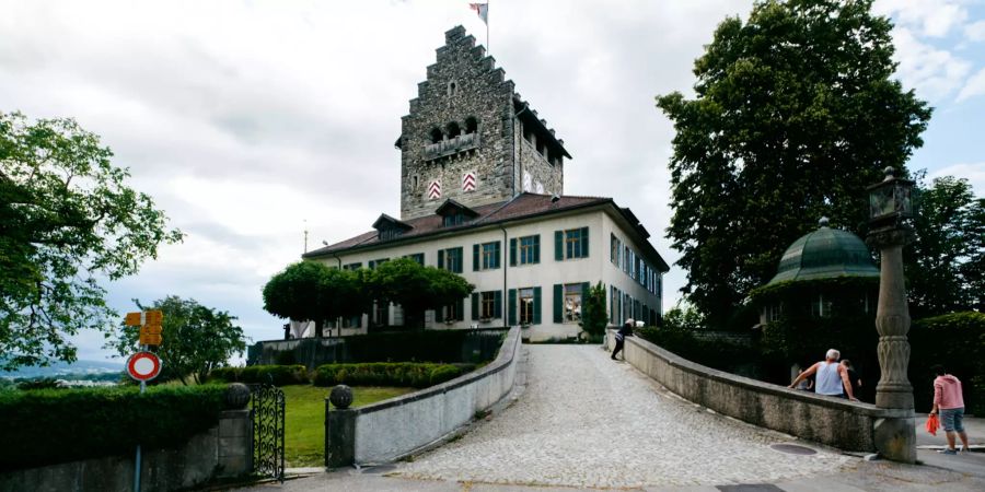 Das Schloss Uster.