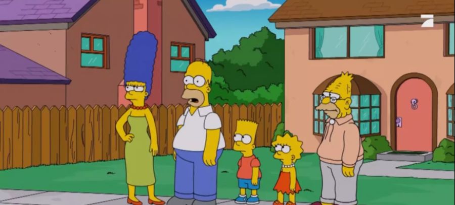 «Die Simpsons»