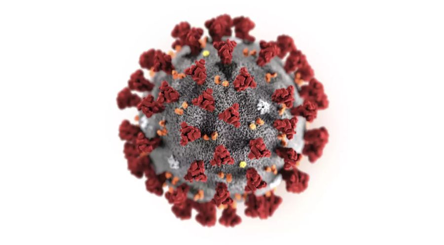 Coronavirus