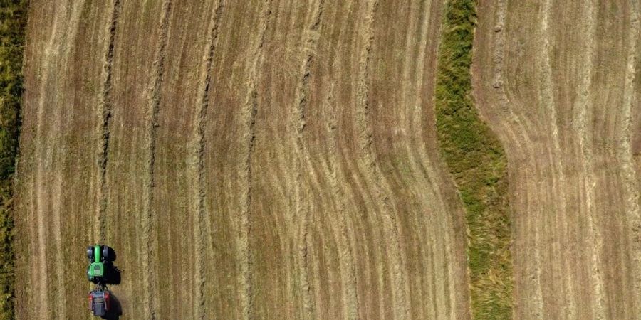 Traktor auf einem Feld in Hillesheim