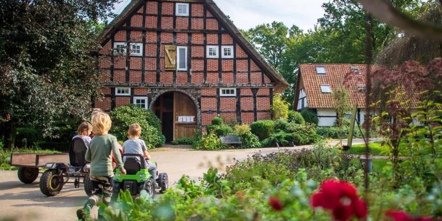 Seit die Corona-Regeln gelockert wurden, steigt auch die Nachfrage auf den Ferienhöfen wieder. Foto: Sina Schuldt/dpa