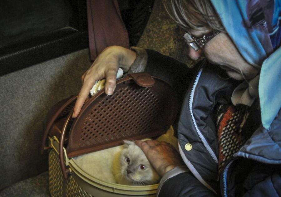 Gestern Dienstag konnten Tausende Menschen mit Bussen aus der Stadt flüchten – so auch diese Frau mit ihrer Katze.