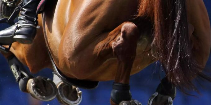 In einem Bericht des TV-Senders RTL werden schwere Vorwürfe gegen einen Weltklasse-Springreiter erhoben. Foto: picture alliance / dpa In einem Bericht des TV-Senders RTL werden schwere Vorwürfe gegen einen Weltklasse-Springreiter erhoben. Foto: picture alliance / dpa