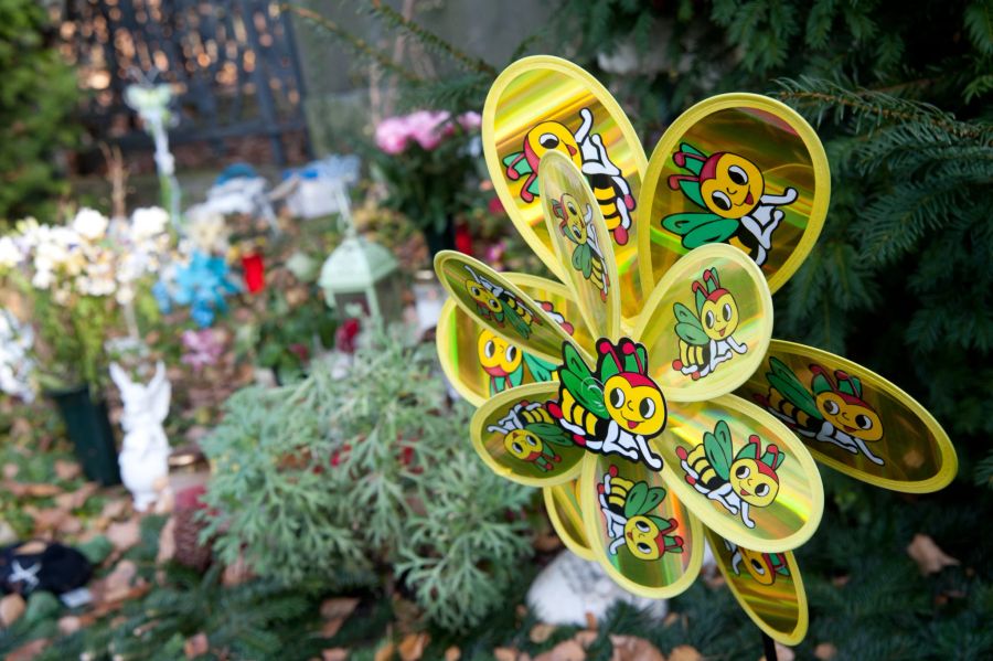 Windmühle Garten grün Bienen Nadelbaum