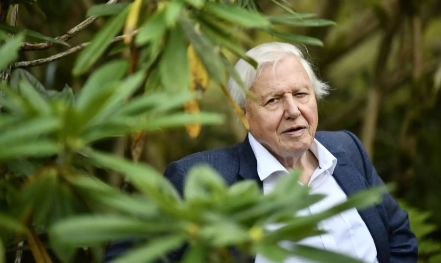 David Attenborough