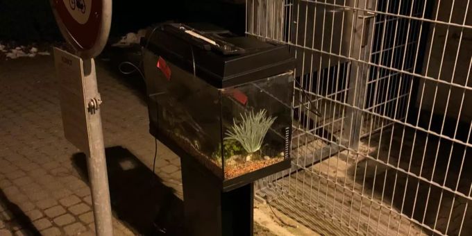 Das Aquarium wurde ausserhalb einer Entsorgungsstelle gefunden. zierfische