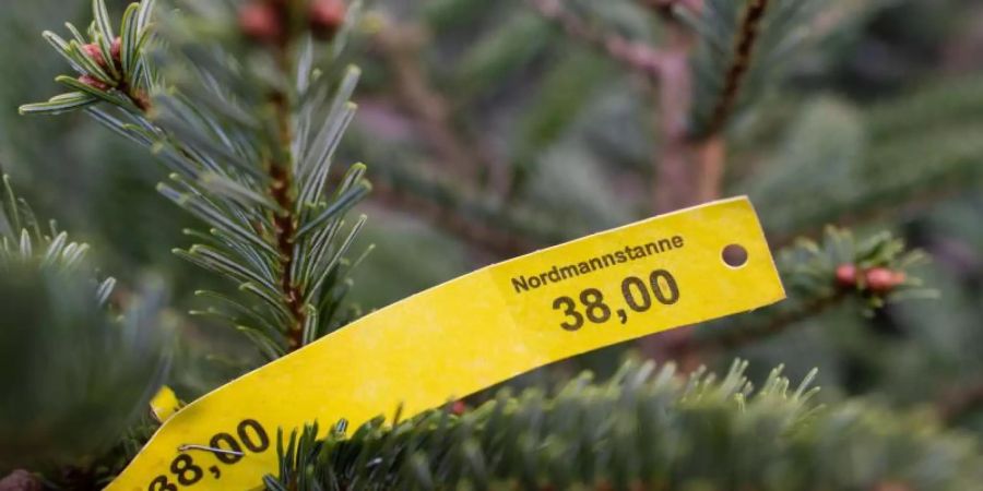 Der Weihnachtsbaumerzeuger-Verband erwartet trotz Corona auch 2020 ein traditionelles Verhalten beim Tannenbaumkauf. Die meisten Menschen erledigen diesen gewöhnlich um den vierten Advent. Foto: Julian Stratenschulte/dpa