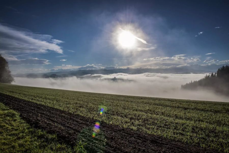 Nebelmeer