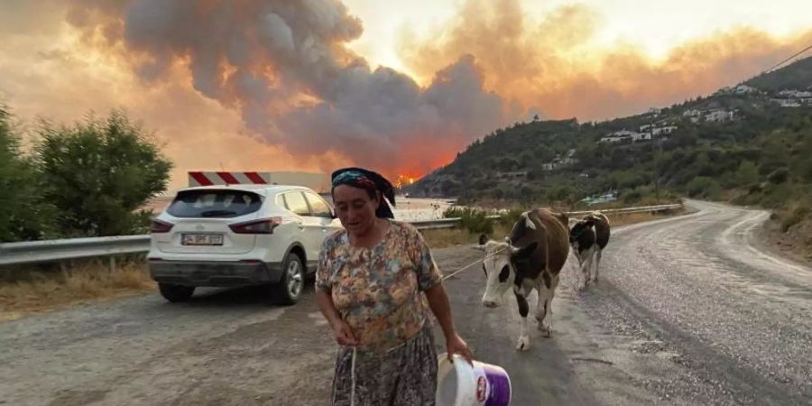 brand türkei