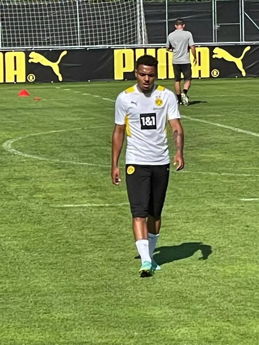 Hollands Nationalspieler Donyell Malen spielt ab dieser Saison neu bei Borussia Dortmund.