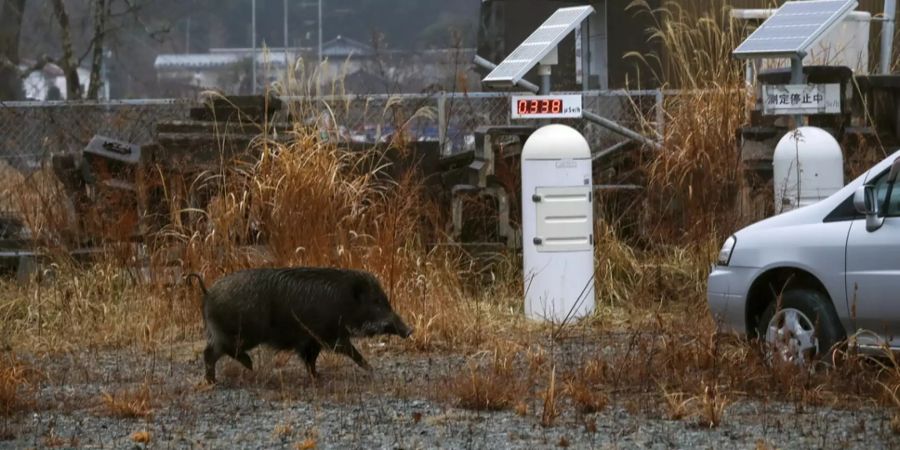 Fukushima