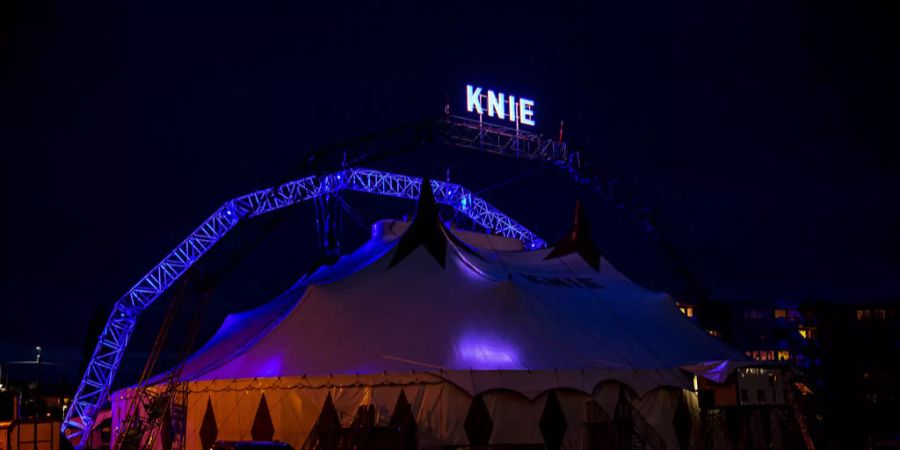 viagogo gericht circus knie