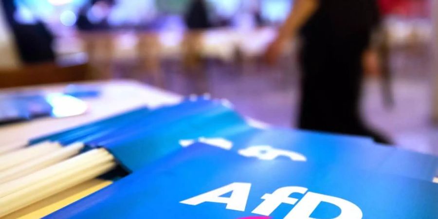 In Dresden kommen 600 Delegierte der AfD zu einem zweitägigen Bundesparteitag zusammen. Foto: Daniel Karmann/dpa