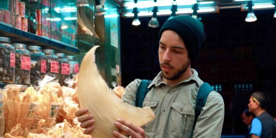 Filmemacher Ali Tabrizi in einer Szene der Dokumentation "Seaspiracy" (undatierte Filmszene). Foto: Lucy Tabrizi/Netflix/dpa
