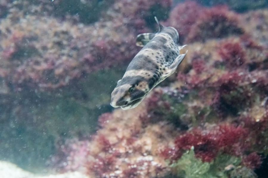 Zoo Basel