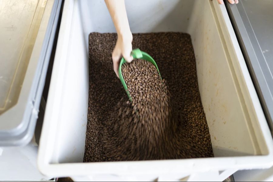 Den Schweizer Kaffeeröstern drohen laut dem Marktbericht der Schweizerischen Röstergilde massiv höhere Rohstoffkosten.