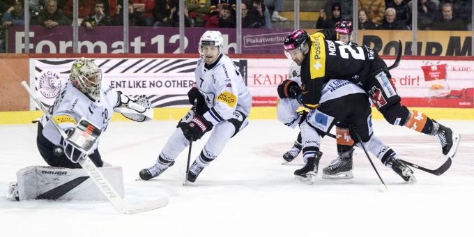 Der SC Bern kämpft gegen Fribourg-Gottéron. SC Bern Fribourg-Gottéron