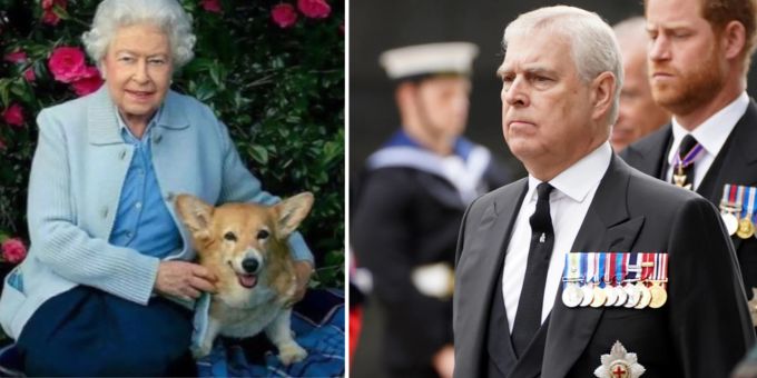Prinz Andrew adoptierte die Corgis der Queen, jetzt kann er sich nicht mehr motivieren, mit ihnen Gassi zu gehen. prinz andrew