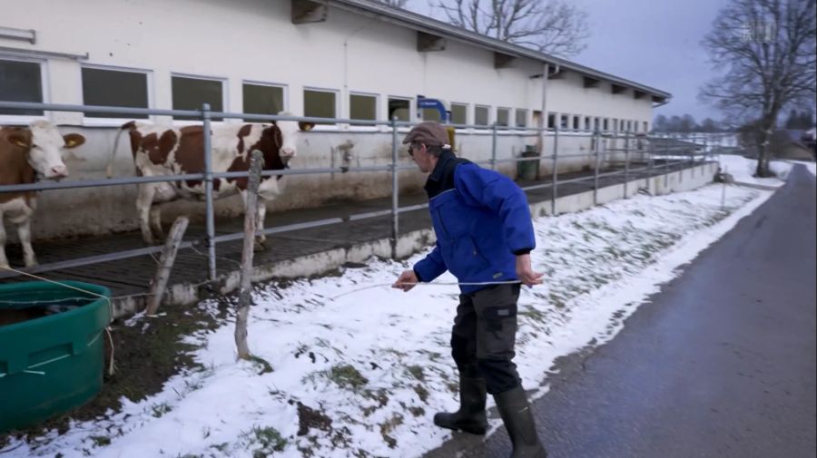 M. und zwei weitere Landbesitzer wehren sich jedoch vehement. Unter anderem, weil die Stromleitungen nur wenige Meter vom Kuhstall vorbeiführen sollen.