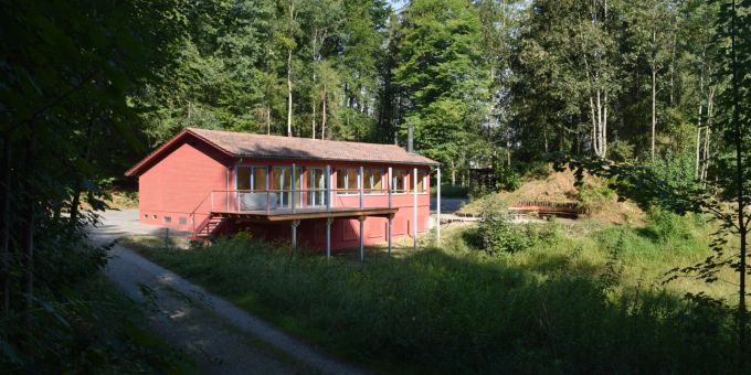 Jona SG - Männer fesseln Bub (11) mit Kabelbindern – wegen Kreide