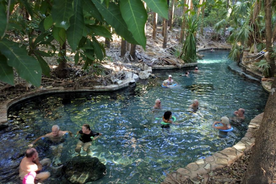 Menschen schwimmen in Mataranka heissen Pools im Elsey Nationalpark im nördlichen Australien.